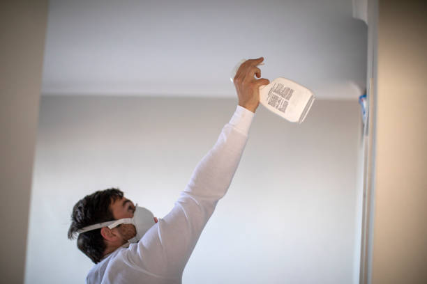 Best Post-Flood Mold Remediation in Shafter, CA