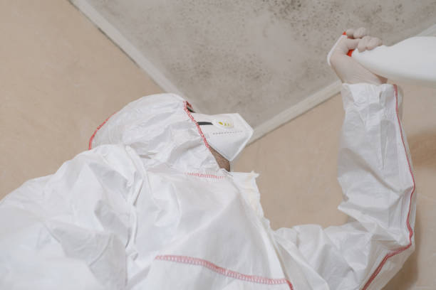 Best Mold Testing and Inspection Services in Shafter, CA