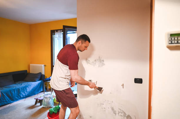 Best Mold Remediation for Specific Building Types in Shafter, CA